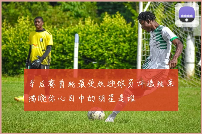 季后赛首轮最受欢迎球员评选结果揭晓你心目中的明星是谁